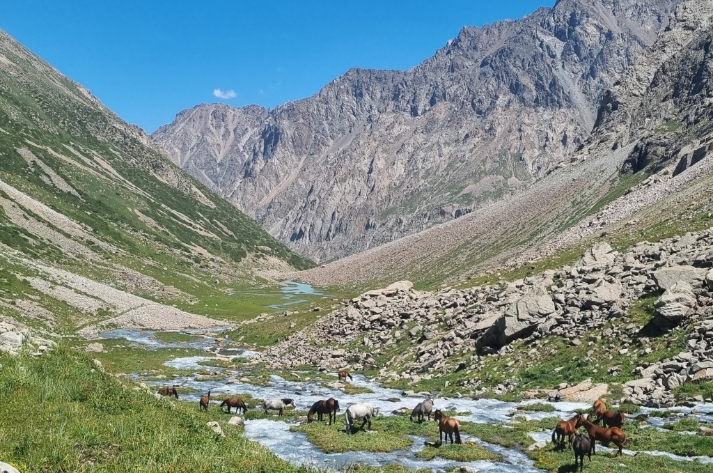 Kirgisische Bergnächte