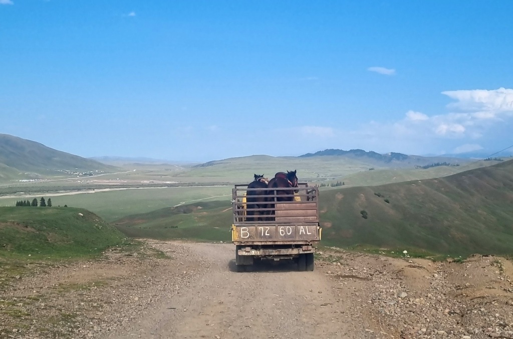 Poka, poka – letzte Tage in Kirgistan